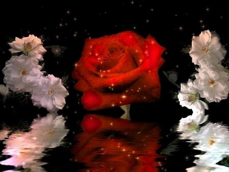 LE TEMPS DE L AMOUR
